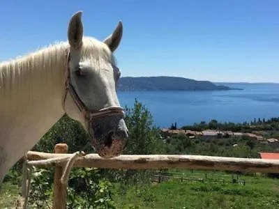 Agriturismo Scuderia Castello Gaino 0*,  Italie