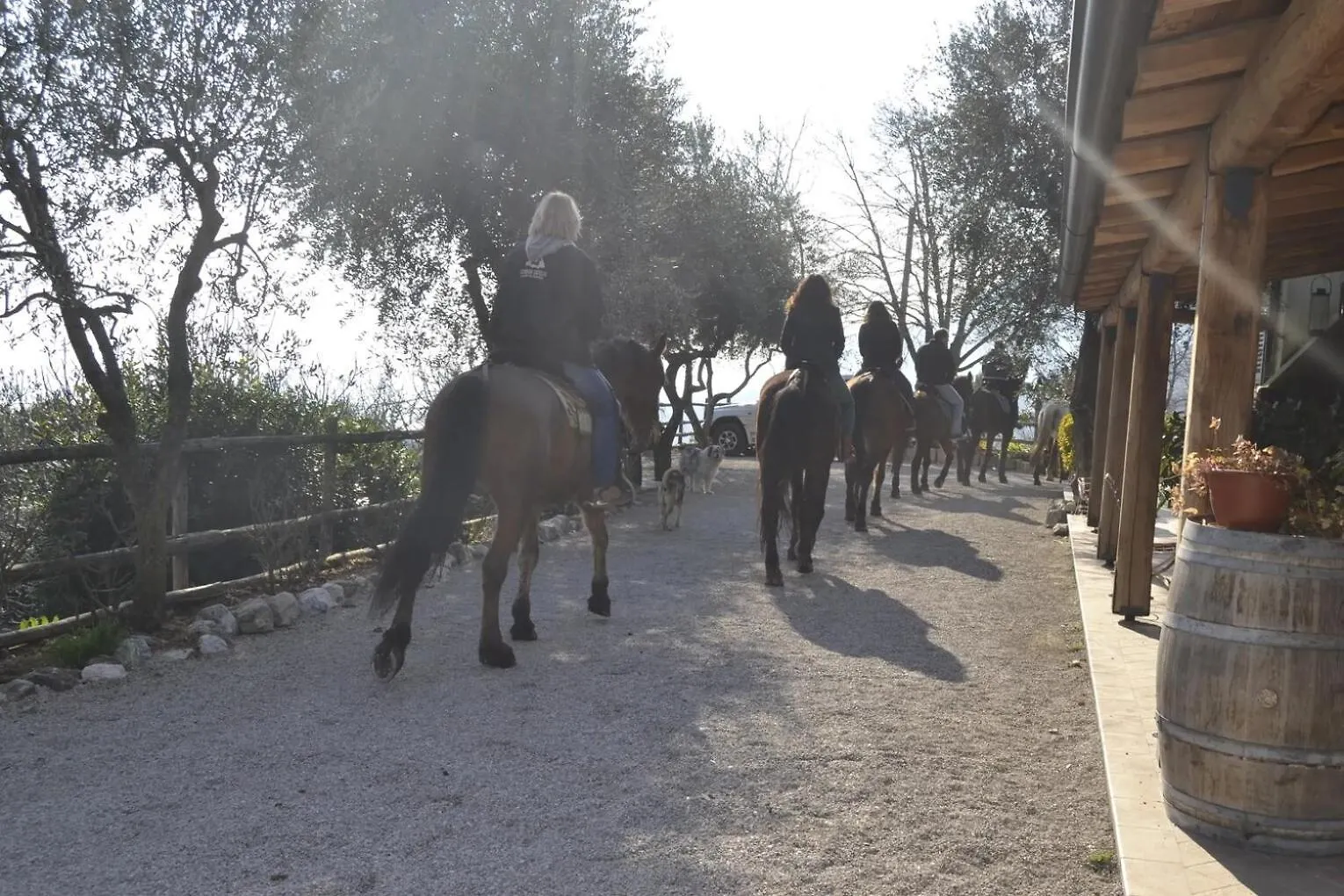 Séjour à la ferme Agriturismo Scuderia Castello Gaino